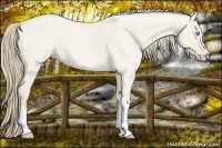 Horse Color:Smoky Creme Roan Dun 