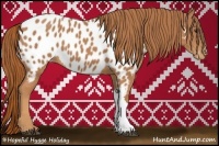 Horse Color:Chestnut Appaloosa 