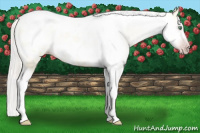 Horse Color:Gray Silver Amber Cream Champagne Roan Dun Splash Tobiano Frame Appaloosa Rabicano 