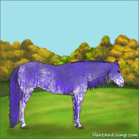 Horse Color:Watercolor Black  and Watercolor White Spotted Black 