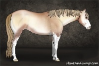 Horse Color:Red Onyx Pearl Sabino Rabicano