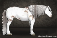 Horse Color:Blue Onyx Pearl Sabino Splash