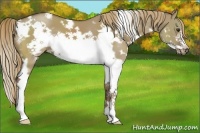 Horse Color:White Spotted Liver Red Dun Splash Frame 