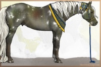 Horse Color:White Spotted Liver Chestnut 