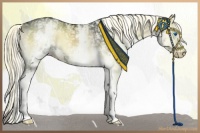 Horse Color:White Spotted Liver Red Onyx Splash Rabicano 