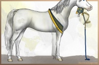 Horse Color:White Spotted Liver Chestnut Mushroom Splash 
