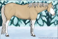 Horse Color:Silver Buckskin Roan Dun Splash 