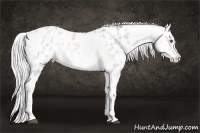Horse Color:Liver Chestnut Chinchilla Snowdrop Pearl Mushroom  and Chocolate Brown Chinchilla Snowdrop Pearl Mushroom Near Leopard 