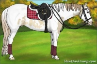 Horse Color:White Spotted Buckskin Dun Splash Tobiano Varnish 
