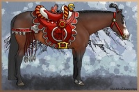 Horse Color:Bay Sabino Splash Frame 