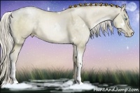 Horse Color:White Spotted Chocolate Palomino Pearl Dun Tobiano 