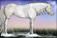 Horse Color:White Spotted Chocolate Palomino Pearl Sabino