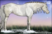 Horse Color:White Spotted Chocolate Palomino Pearl Sabino 