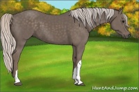 Horse Color:Silver Black 