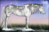 Horse Color:White Spotted Silver Black Chinchilla Splash