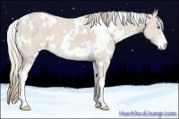 Horse Color:White Spotted Smoky Creme Sabino 