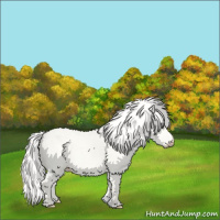Horse Color:Silver Perlino Dun 