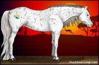 Horse Color:Silver Brown Ice Splash Appaloosa Rabicano 
