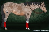 Horse Color:Bay Ice