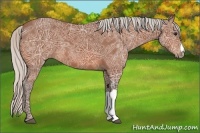 Horse Color:Silver Bay Ice 