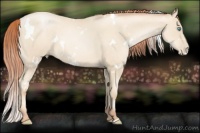 Horse Color:White Spotted Sable Cream Champagne Pearl