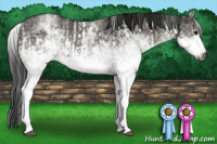 Horse Color:Gray White Spotted Black  and Gray White Spotted Grullo 