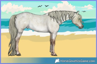 Horse Color:White Spotted Chocolate Palomino Roan Dun Mushroom