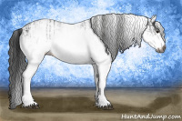 Horse Color:Gray White Spotted Black and Gray White Spotted Black