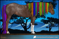 Horse Color:Painted Liver Chestnut Tobiano 