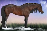 Horse Color:Brown 