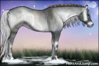 Horse Color:Silver Blue Onyx Chinchilla Sabino 