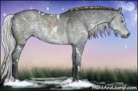 Horse Color:White Spotted Silver Black Chinchilla