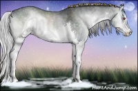 Horse Color:Silver Blue Onyx Chinchilla Sabino Splash 