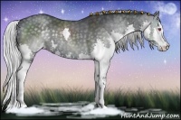 Horse Color:Silver Black Chinchilla Sabino Splash