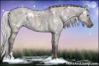 Horse Color:White Spotted Chocolate Silver Grullo Chinchilla Ice Sabino Brindle