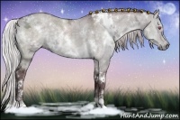 Horse Color:White Spotted Chocolate Silver Grullo Chinchilla Ice Sabino Brindle