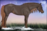 Horse Color:Liver Red Roan 