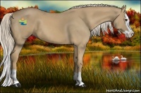 Horse Color:Palomino Splash 
