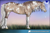 Horse Color:White Spotted Chocolate Silver Brown Dun Sabino Splash Brindle 