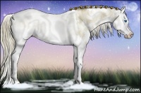 Horse Color:White Spotted Liver Chestnut Ice Pearl Splash Rabicano