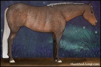 Horse Color:Silver Brown Rabicano 