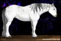 Horse Color:Gray White Spotted Grullo and White Spotted Grullo