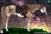 Horse Color:Silver Black Tobiano Rabicano  and Black Pearl Sabino 