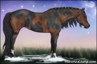 Horse Color:Black  and Bay 