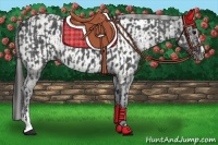 Horse Color:Black Sabino  and Black Sabino Appaloosa 