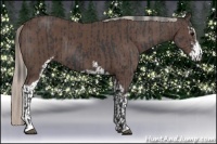 Horse Color:Black Sabino  and Silver Black Sabino 