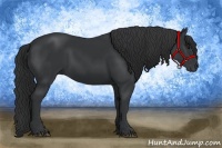 Horse Color:Black Sabino