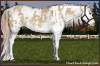 Horse Color:Red Dun Sabino Splash  and Bay Dun Sabino Splash 