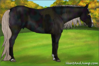 Horse Color:Midnight Silver Black and Gray Midnight Silver Black Sabino