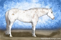 Horse Color:Classic Champagne Sabino  and Classic Champagne Sabino 
